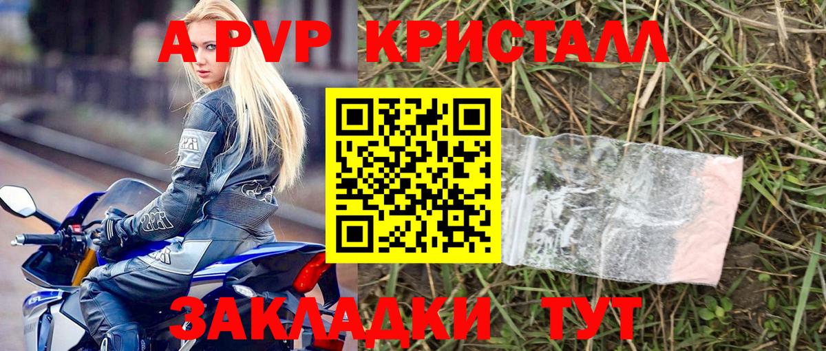 А ПВП СК Бердск