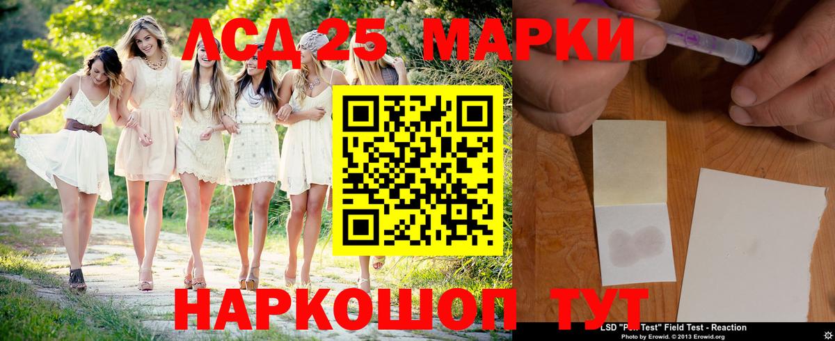 A-PVP Бердск